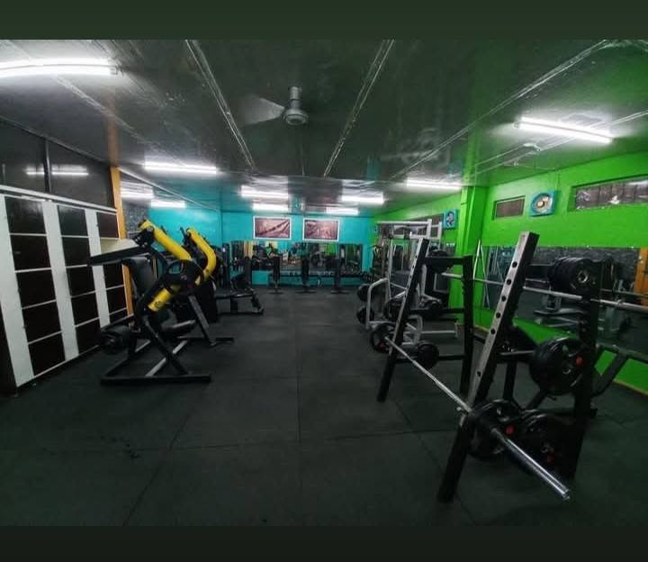 Plate-loaded machines and squat racks
